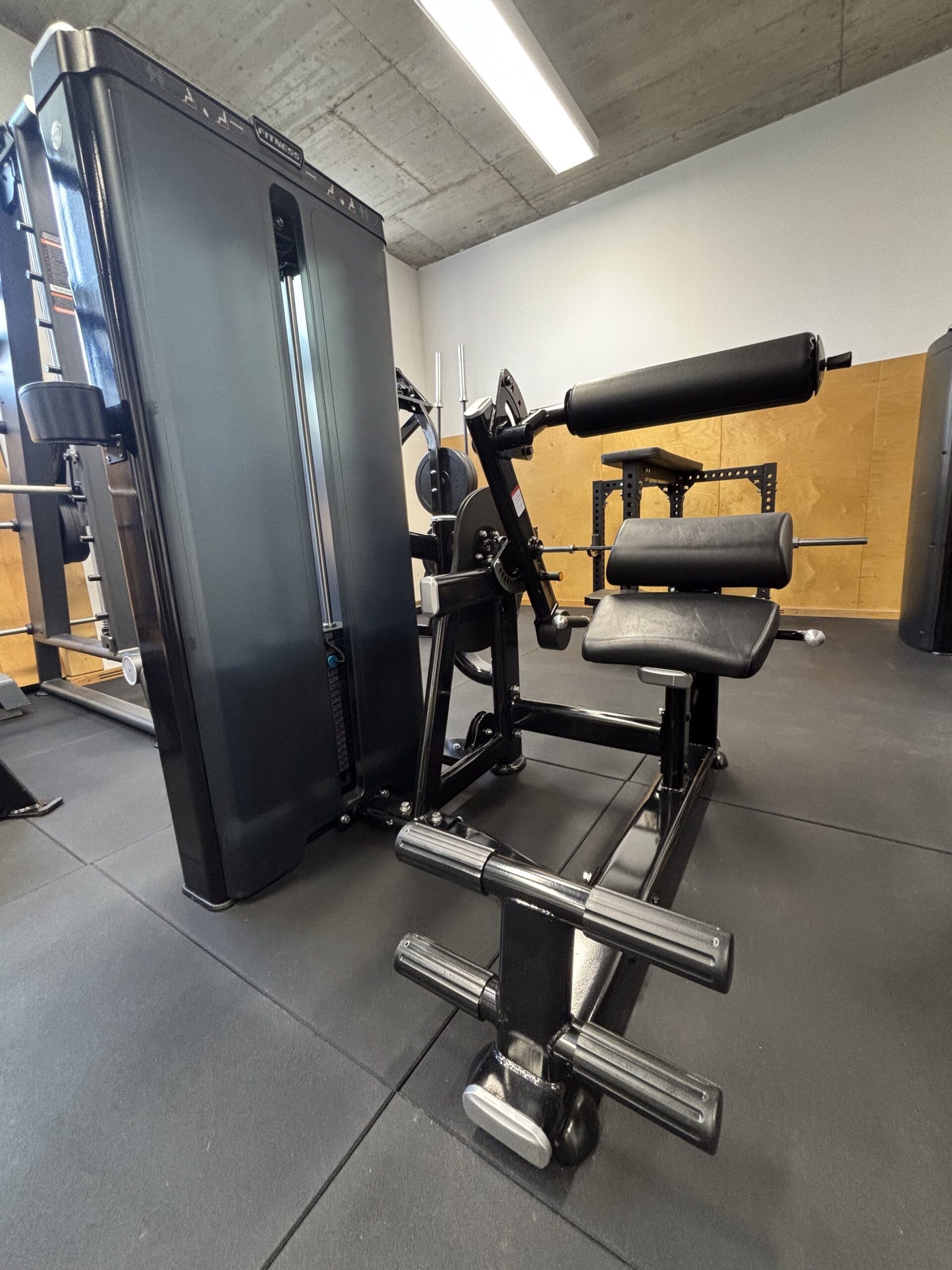 Abdominal/Rückenstrecker Dual